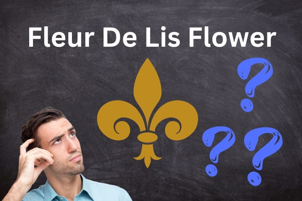 decoding-the-fleur-de-lis-flower-symbol-symbolscholar