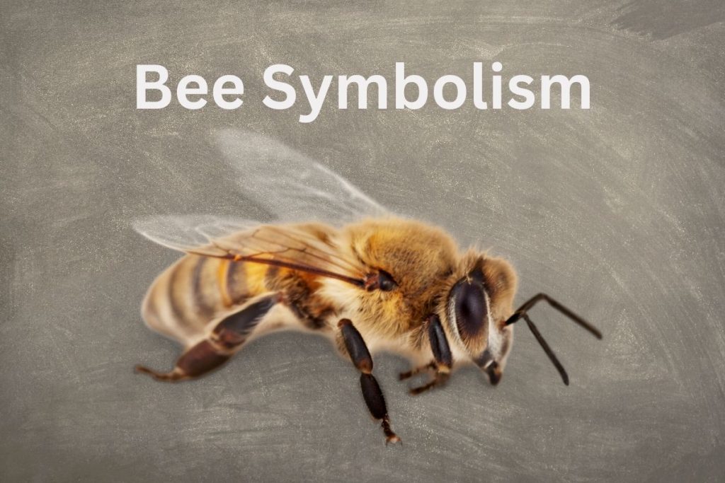 The Hidden Meaning Of Bee Symbolism SymbolScholar