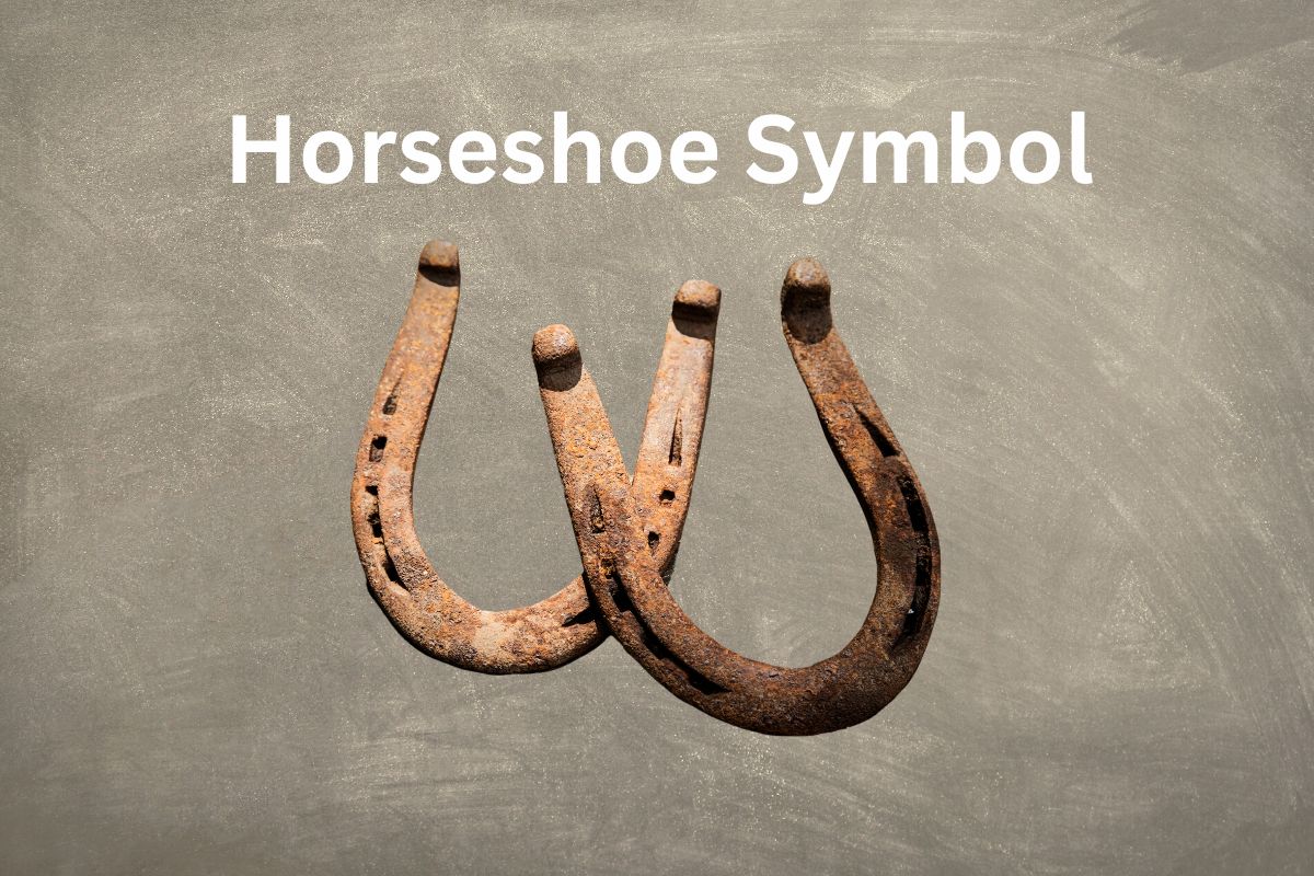 What Does The Horseshoe Symbol Mean SymbolScholar