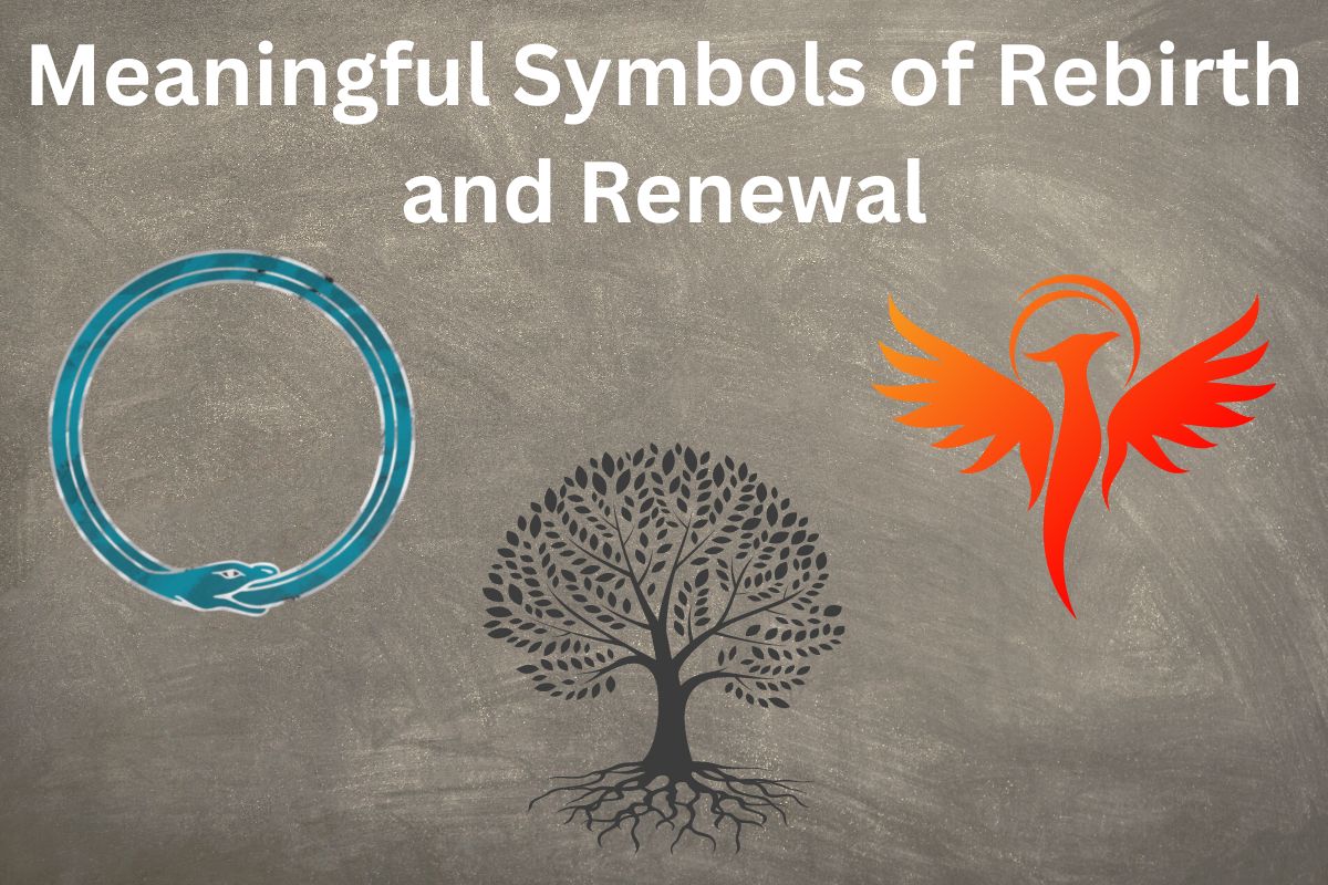 renewal symbol
