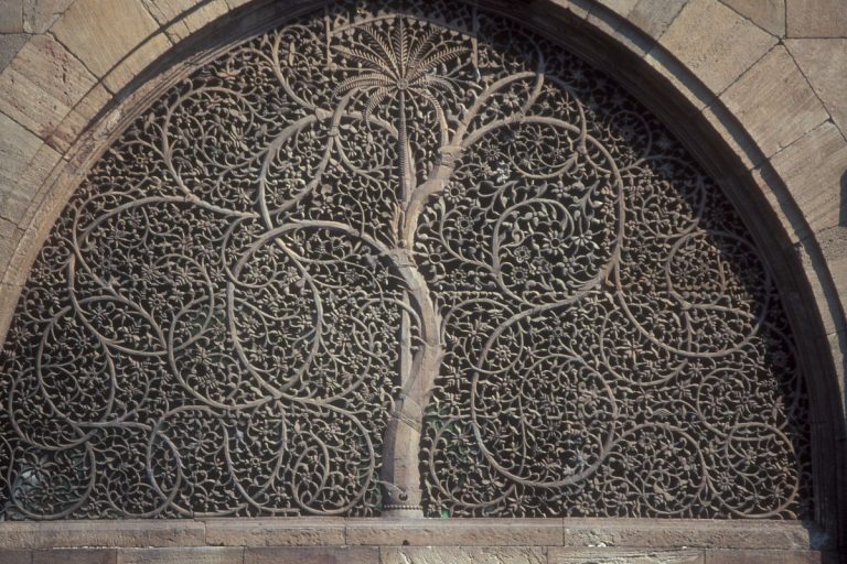 Meaningful Rebirth Symbols And Signs Of Renewal