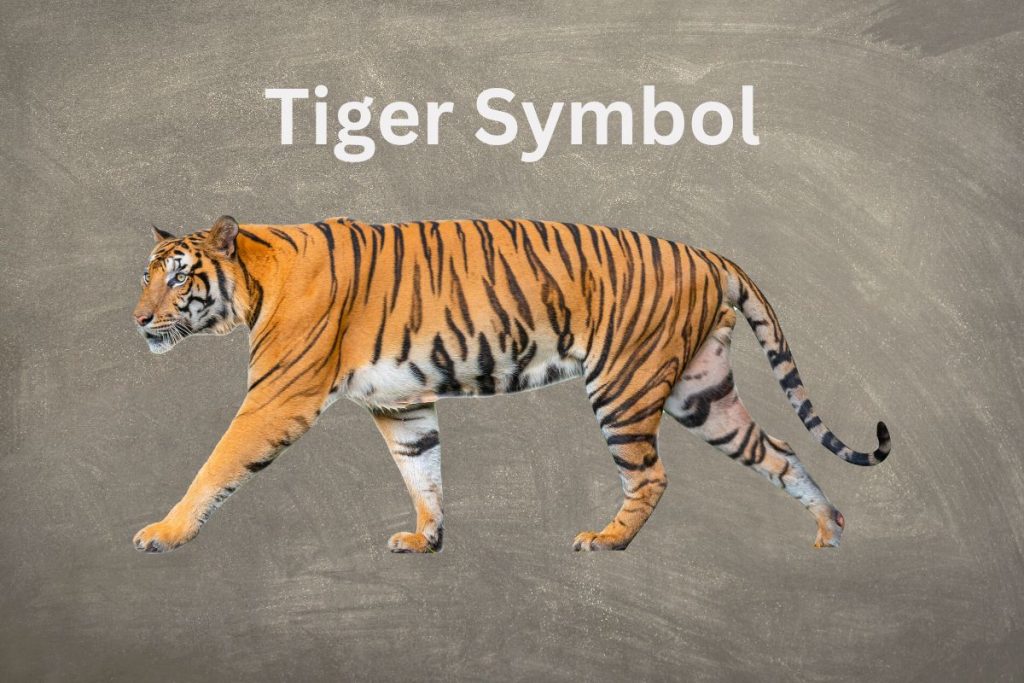 The Tiger Symbol's Mysterious Meaning SymbolScholar