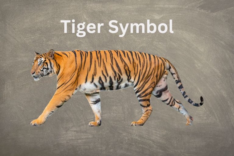 The Tiger Symbol's Mysterious Meaning SymbolScholar