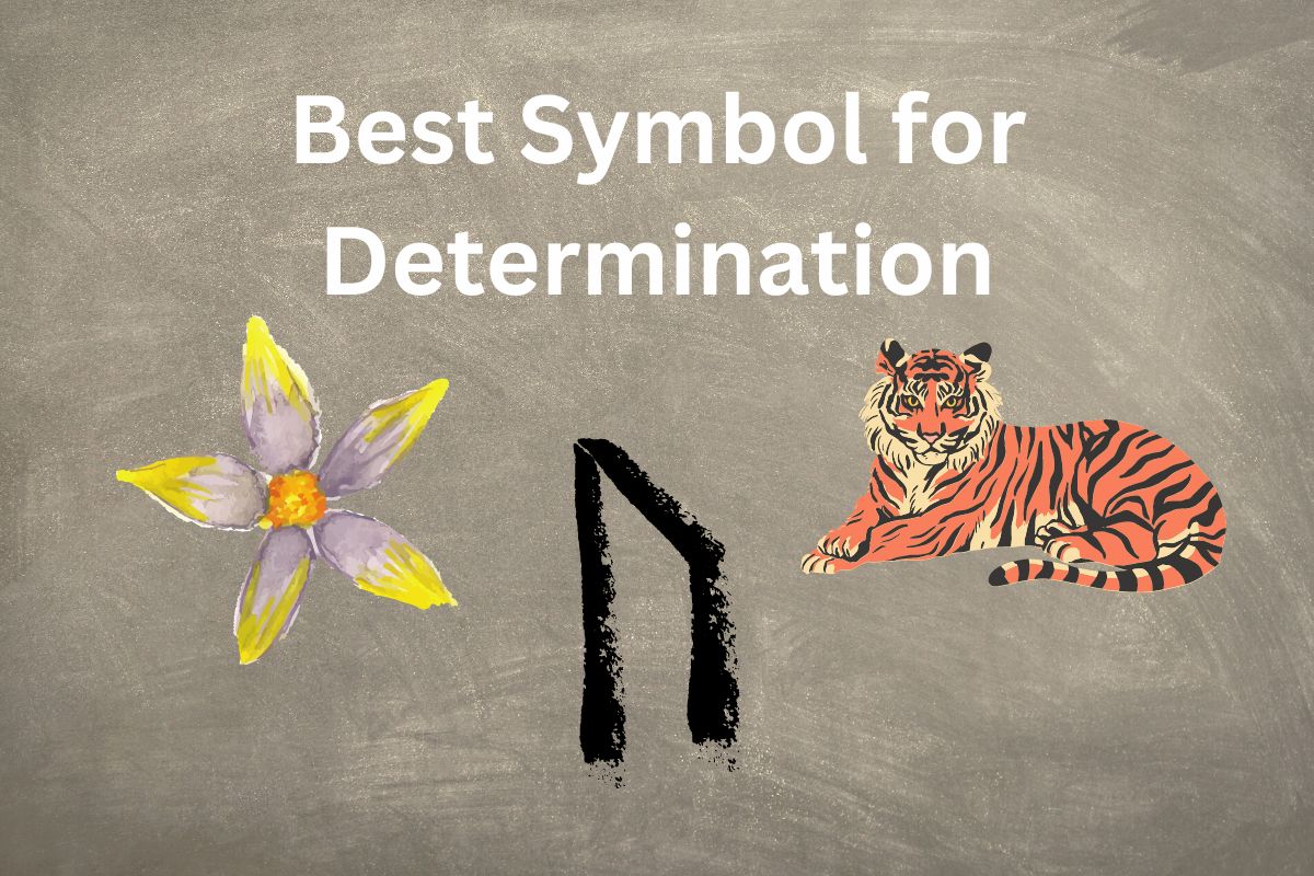 symbol for determination